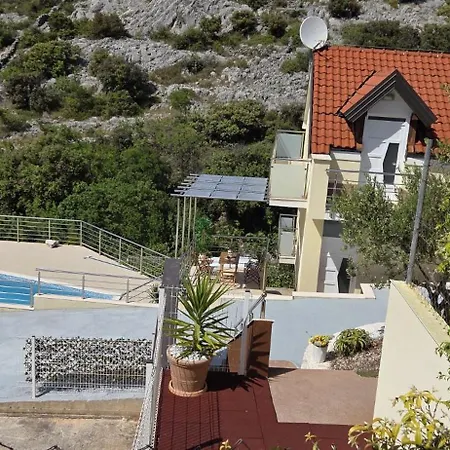 Olive Tree Vila *