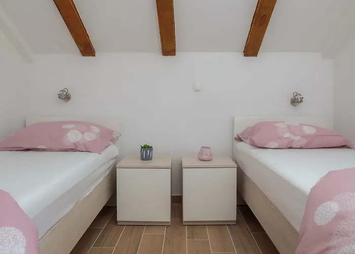 Olive Tree * Rogoznica (Sibenik-Knin)