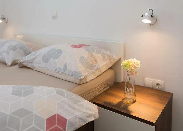 Olive Tree * Rogoznica (Sibenik-Knin)